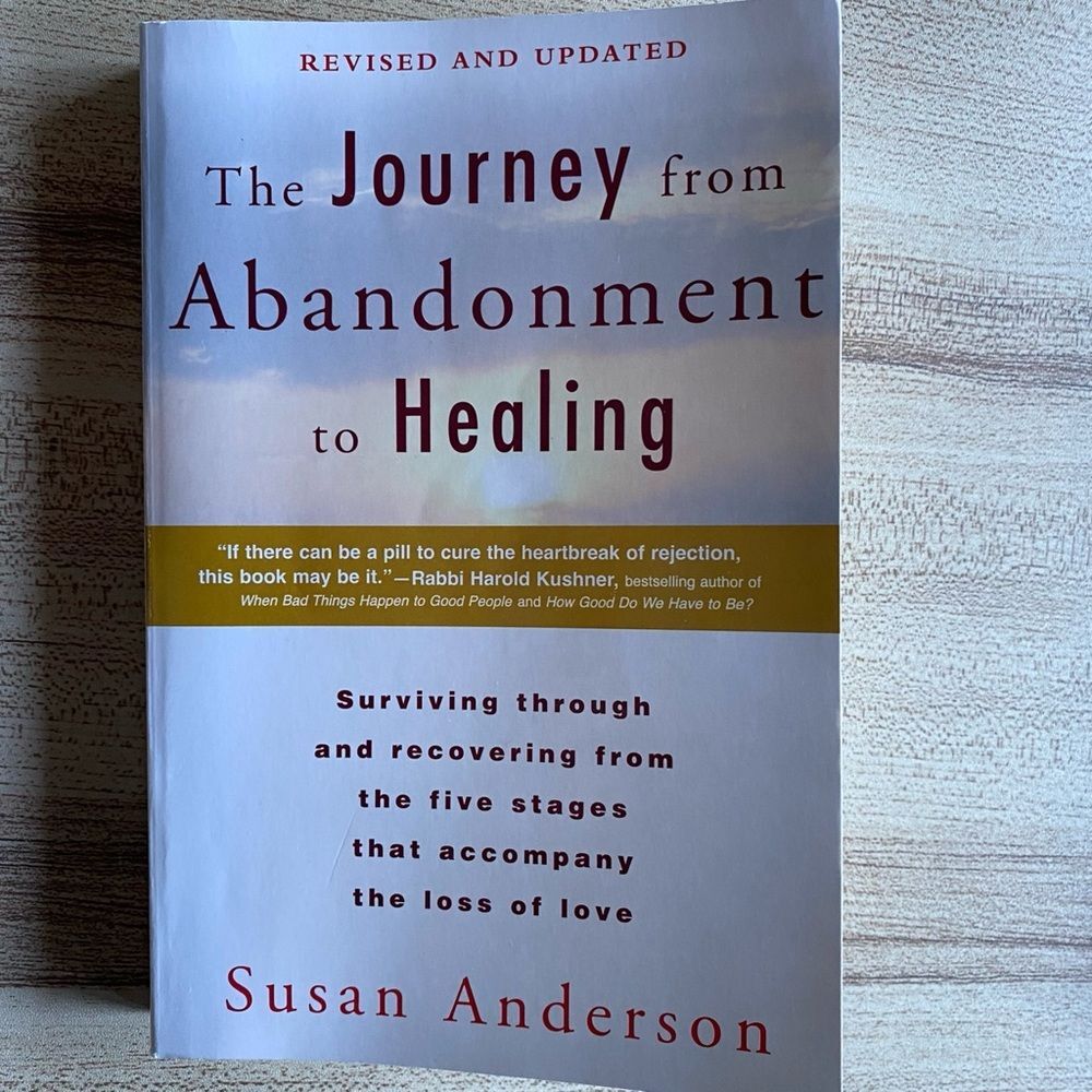 the journey from abandonment to healing by susan anderson